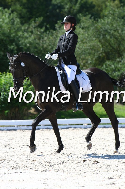 109M7085_Day Dream_Dressur L_Mannschaft.JPG